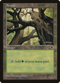 Forest (Skyward)