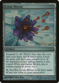 Lotus Bloom